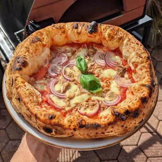 Bollore Multi-fuel Pizzaofen GUNMETAL backfläche: 60x60cm 2
