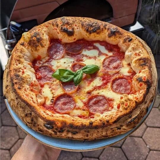 Bollore Multi-fuel Pizzaofen GUNMETAL backfläche: 60x60cm 3