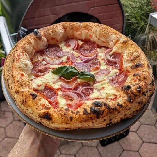 Bollore Multi-fuel Pizzaofen GUNMETAL backfläche: 60x60cm 4
