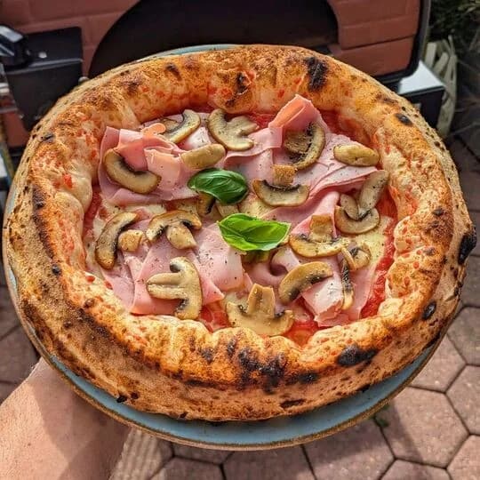 Bollore Multi-fuel Pizzaofen GUNMETAL backfläche: 60x60cm 6