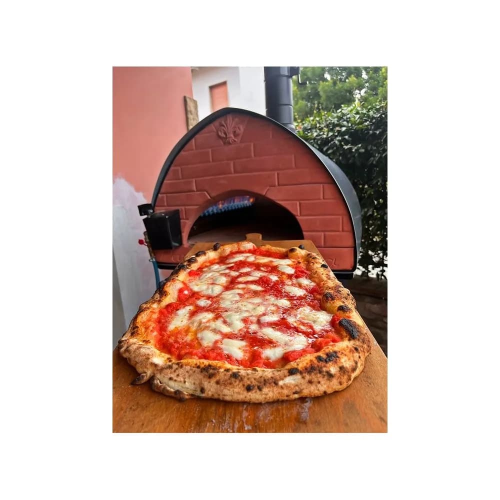 Pizza Party · Passione, hibridna peč na drva in plin 3