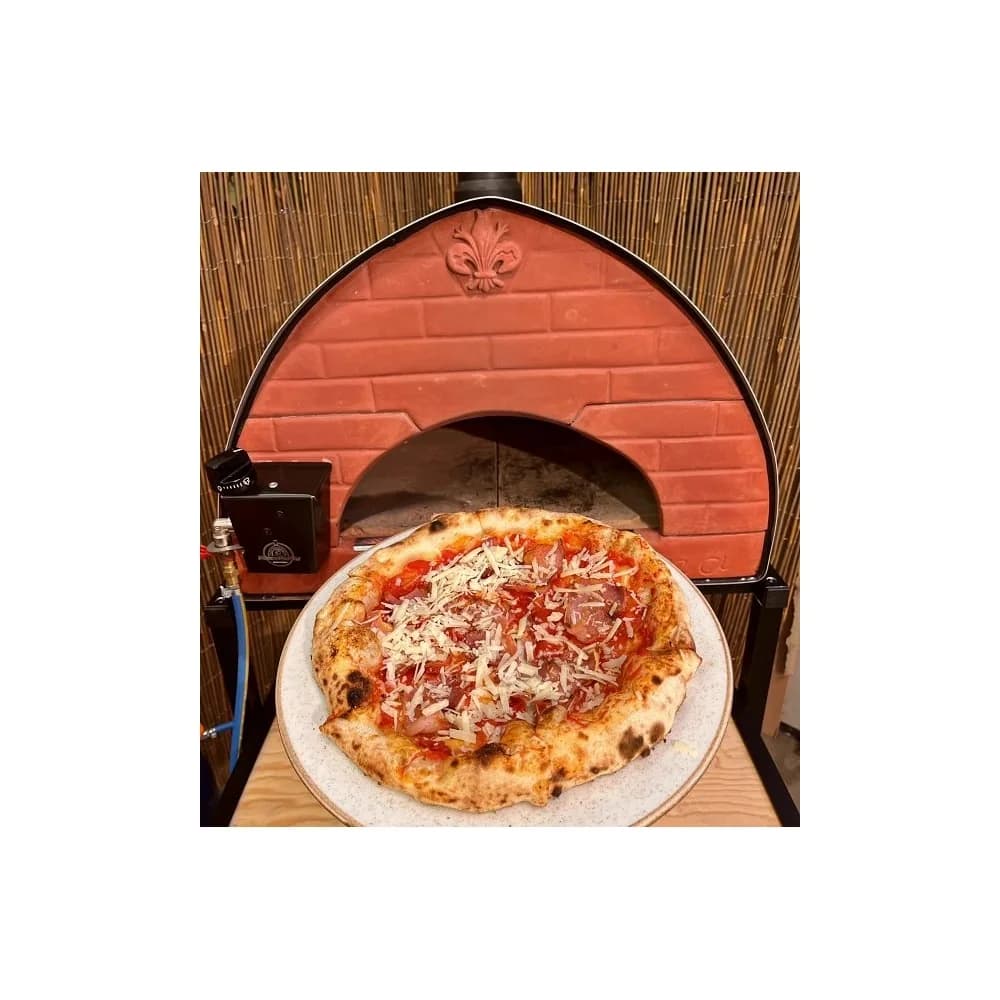 Pizza Party · Passione, hibridna peč na drva in plin 6