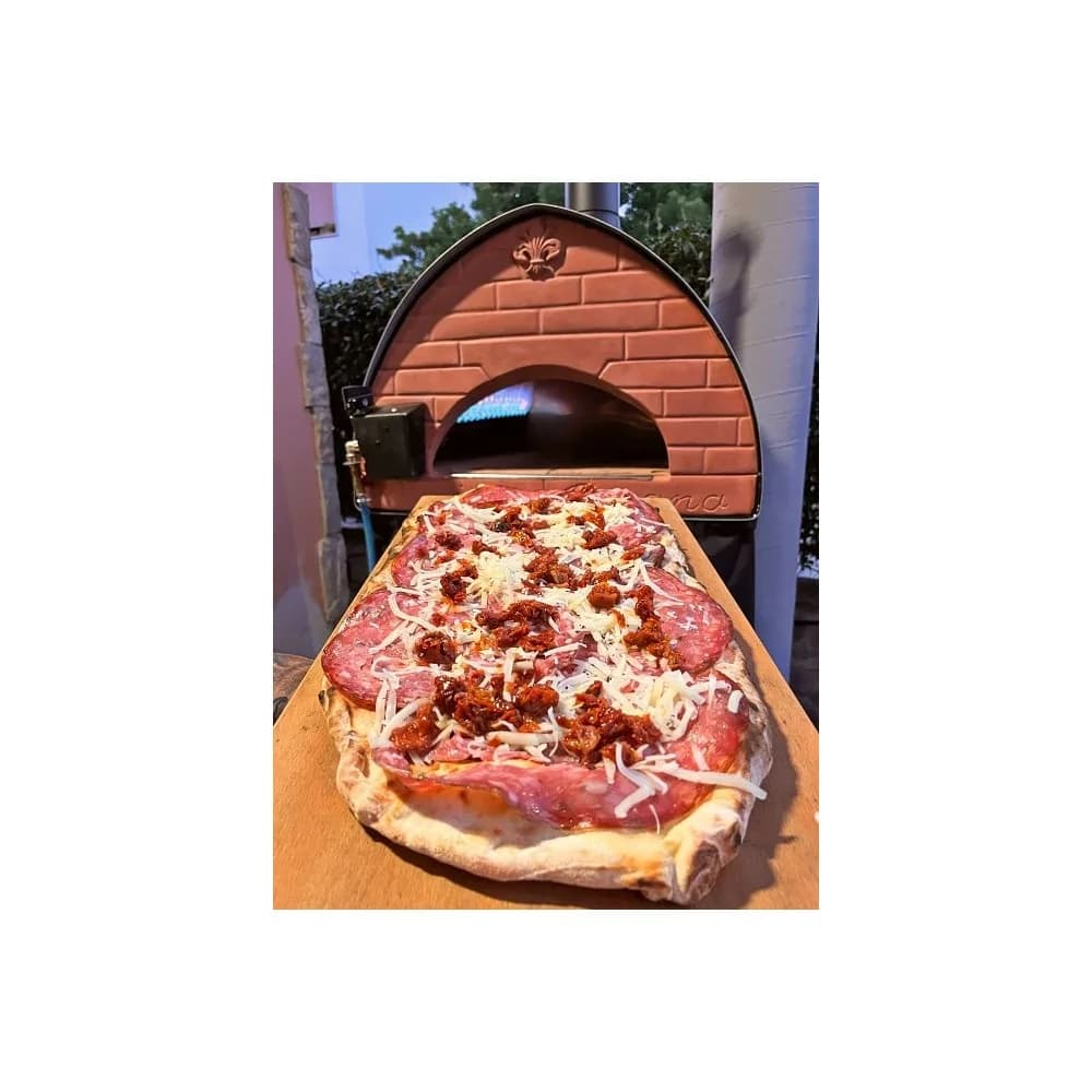 Pizza Party · Passione, hibridna peč na drva in plin 12